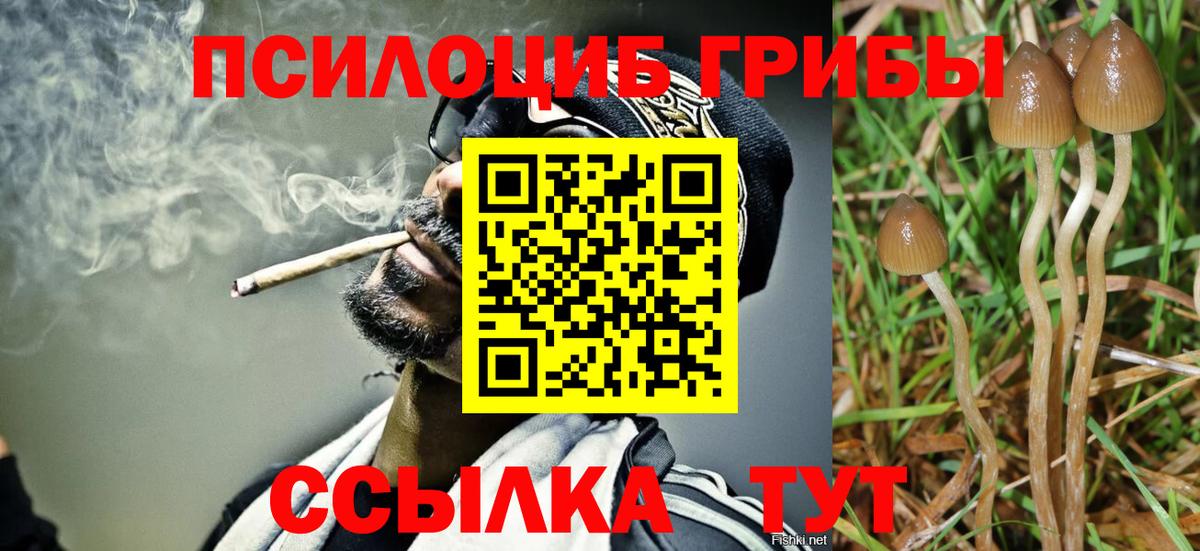 Горячий Ключ  Галлюциногенные грибы Magic Shrooms  купить наркотик  Вход с VPN 